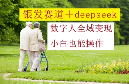银发赛道+deepseek数字人全域变现，小白也能操作-菜菜网创