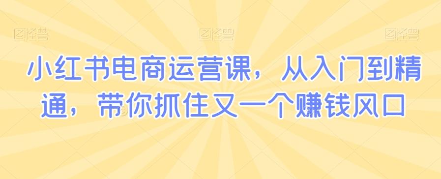 小红书电商运营课，从入门到精通，带你抓住又一个赚钱风口-菜菜网创