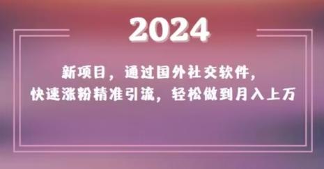 2024新项目，通过国外社交软件，快速涨粉精准引流，轻松做到月入上万【揭秘】-菜菜网创