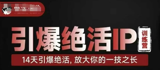 引爆绝活IP训练营，14天引爆绝活，放大你的一技之长-菜菜网创