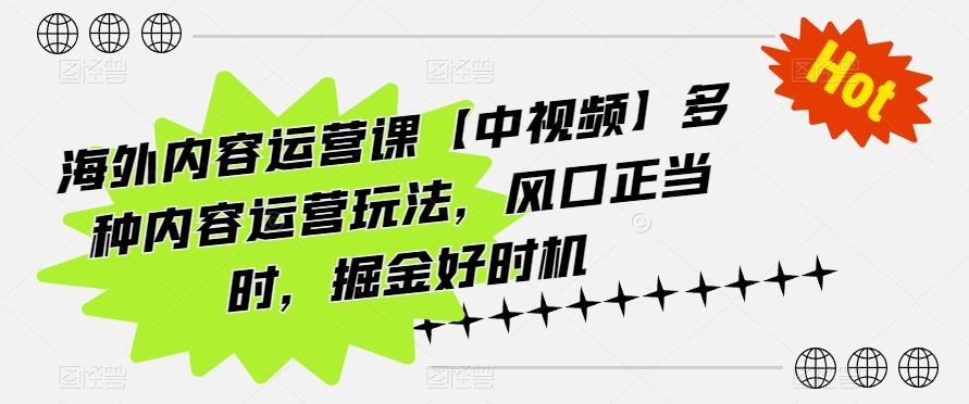 海外内容运营课【中视频】多种内容运营玩法，风口正当时，掘金好时机-菜菜网创