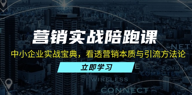 营销实战陪跑课：中小企业实战宝典，看透营销本质与引流方法论-菜菜网创