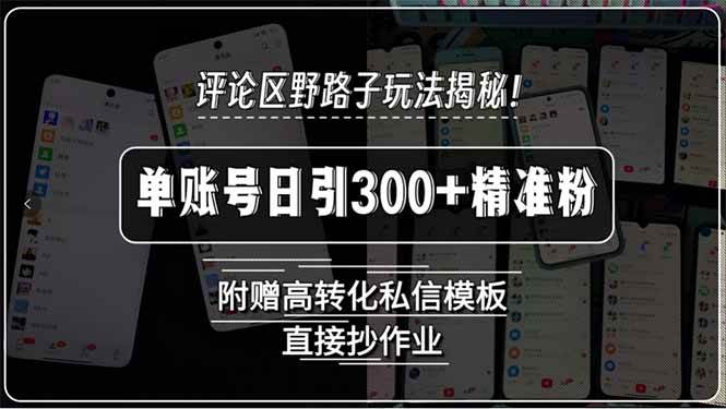 （15466期）评论区野路子玩法揭秘！单账号日引300+精准粉，附赠高转化私信模板，直…-菜菜网创
