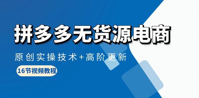 (10015期)拼多多无货源电商，原创实操技术+高阶更新(16节视频教程)-菜菜网创