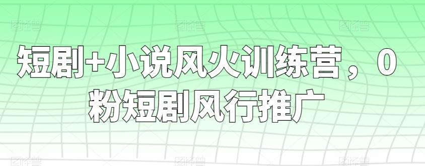 短剧+小说风火训练营，0粉短剧风行推广-菜菜网创