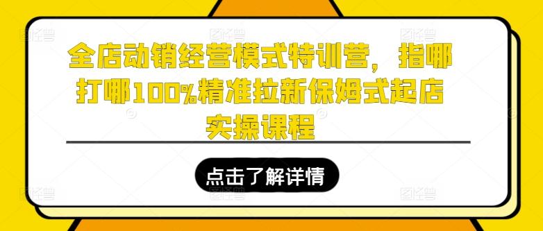 全店动销经营模式特训营，指哪打哪100%精准拉新保姆式起店实操课程-菜菜网创