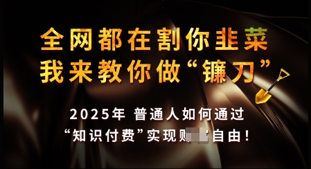 知识付费如何做到月入过W+，2025我来教你做“镰刀”【揭秘】-菜菜网创