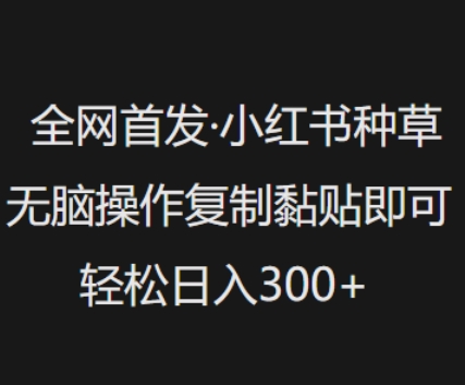 全网首发，小红书种草无脑操作，复制黏贴即可，轻松日入3张-菜菜网创