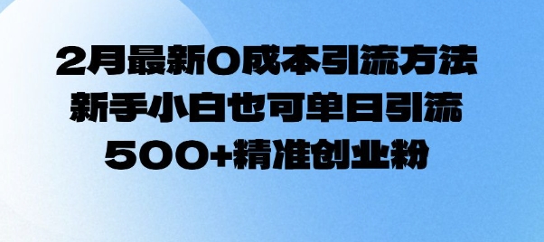 2月最新0成本引流方法，新手小白也可单日引流500+精准创业粉-菜菜网创