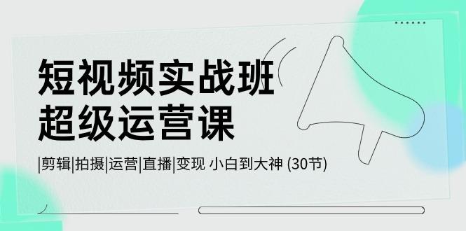 短视频实战班超级运营课 |剪辑|拍摄|运营|直播|变现 小白到大神 (30节)-菜菜网创