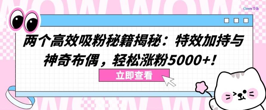 两个高效吸粉秘籍揭秘：特效加持与神奇布偶，轻松涨粉5000+【揭秘】-菜菜网创