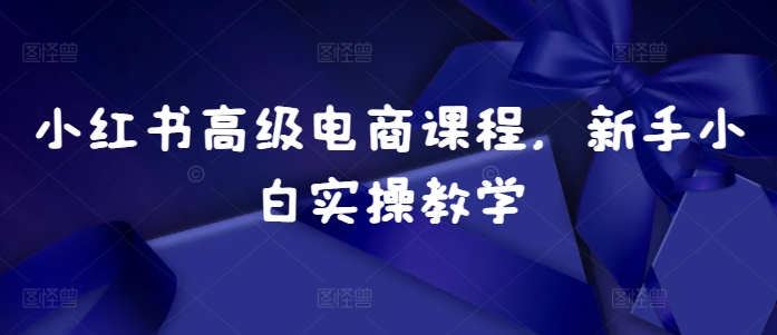 小红书高级电商课程，新手小白实操教学-菜菜网创