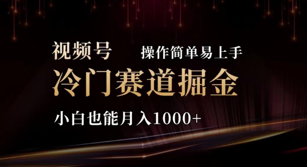 2024视频号冷门赛道掘金，操作简单轻松上手，小白也能月入1000+-菜菜网创