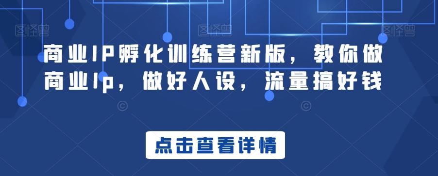 商业IP孵化训练营新版，教你做商业Ip，做好人设，流量搞好钱-菜菜网创