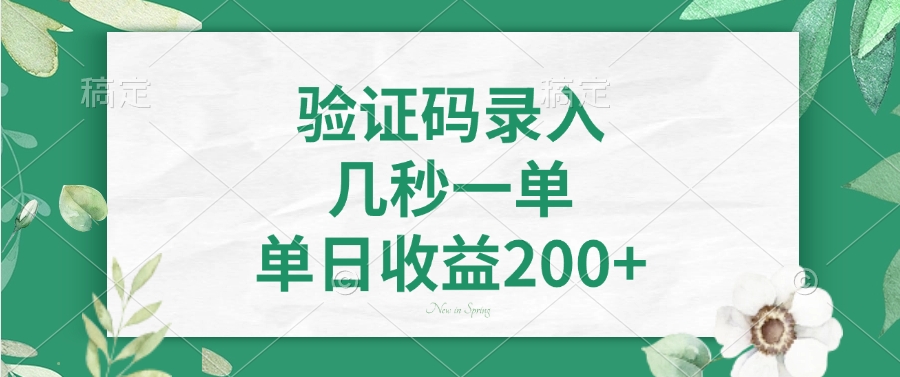 验证码录入，几秒一单，单日收益200+-菜菜网创