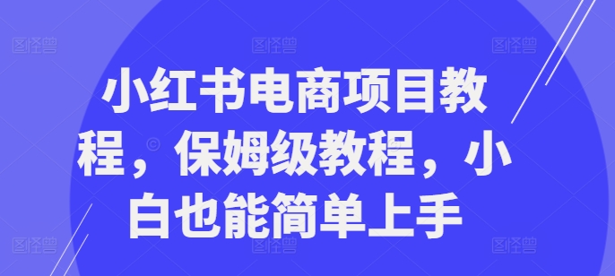 小红书电商项目教程，保姆级教程，小白也能简单上手-菜菜网创