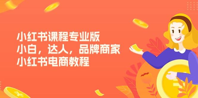 小红书课程专业版，小白，达人，品牌商家，小红书电商教程(15节-菜菜网创