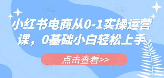小红书电商从0-1实操运营课，0基础小白轻松上手-菜菜网创