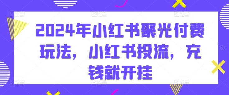2024年小红书聚光付费玩法，小红书投流，充钱就开挂-菜菜网创