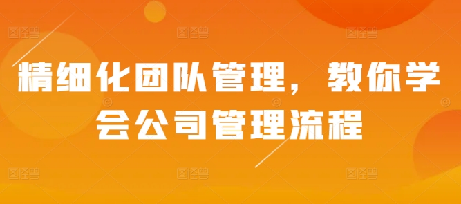 精细化团队管理，教你学会公司管理流程-菜菜网创