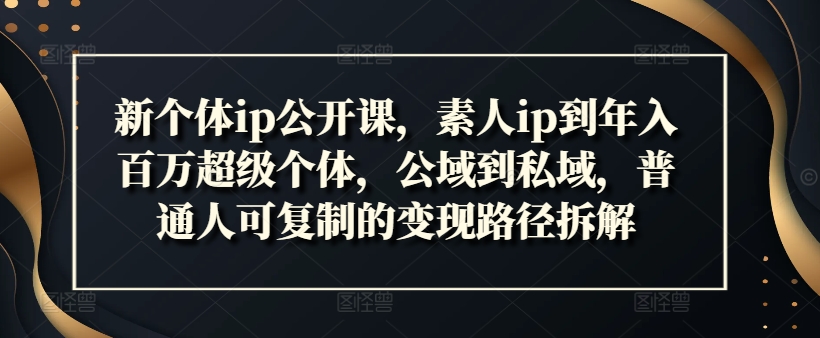 新个体ip公开课，素人ip到年入百万超级个体，公域到私域，普通人可复制的变现路径拆解-菜菜网创