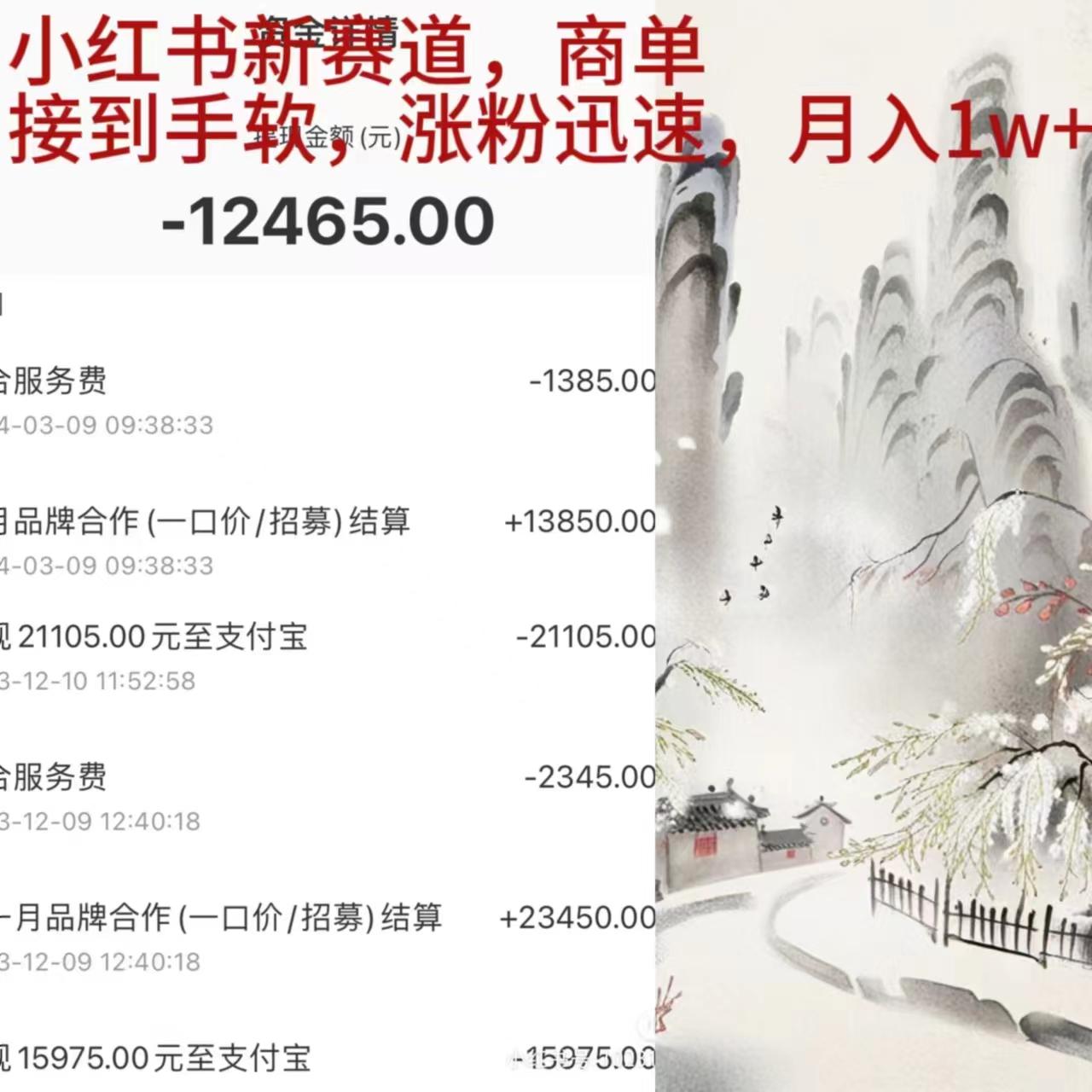 (9476期)小红书新赛道，商单接到手软，涨粉迅速，月入1w+-菜菜网创