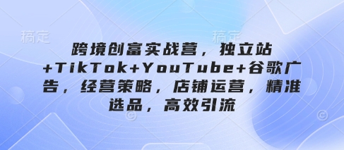 跨境创富实战营，独立站+TikTok+YouTube+谷歌广告，经营策略，店铺运营，精准选品，高效引流-菜菜网创