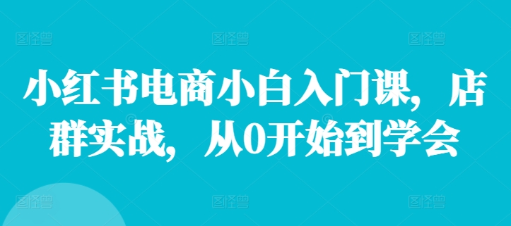 小红书电商小白入门课，店群实战，从0开始到学会-菜菜网创