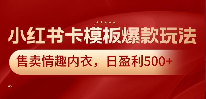 小红书卡模板爆款玩法，售卖情趣内衣，日盈利500+【揭秘】-菜菜网创