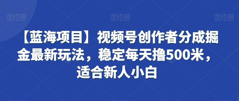 【蓝海项目】视频号创作者分成掘金最新玩法，稳定每天撸500米，适合新人小白【揭秘】-菜菜网创
