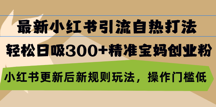 最新小红书引流自热打法，轻松日吸300+精准宝妈创业粉，小红书更新后新…-菜菜网创
