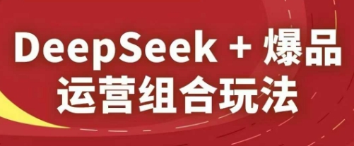 DeepSeek+爆品运营组合玩法，2025淘系精品课-菜菜网创
