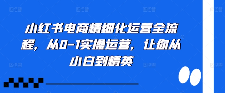 小红书电商精细化运营全流程，从0-1实操运营，让你从小白到精英-菜菜网创