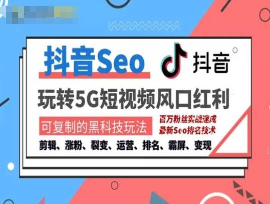 抖音SEO引流培训课程-抓住抖音风口，实现搜索排名，获取精准流量，快速成交变现-菜菜网创
