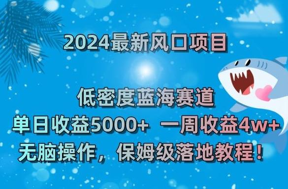 2024最新风口项目，低密度蓝海赛道，单日收益5000+，一周收益4w+！【揭秘】-菜菜网创