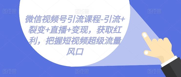 微信视频号引流课程-引流+裂变+直播+变现，获取红利，把握短视频超级流量风口-菜菜网创