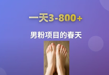 AI一键生成美女素材，一天收益3-8张，男粉项目的春天-菜菜网创