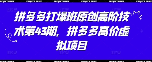 拼多多打爆班原创高阶技术第43期，拼多多高价虚拟项目-菜菜网创