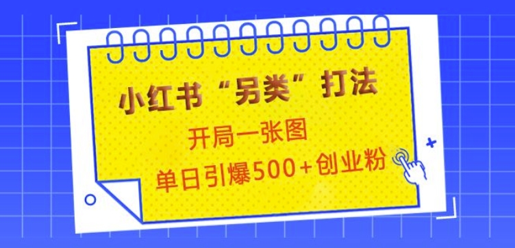 小红书“另类”打法，开局一张图，单日引爆500+精准创业粉【揭秘】-菜菜网创