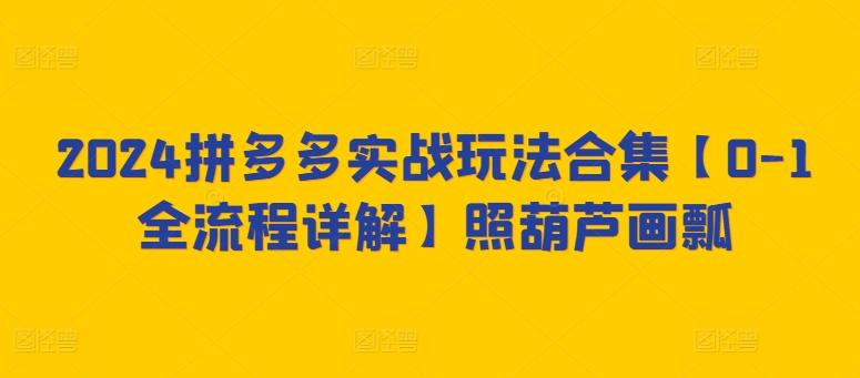 2024拼多多实战玩法合集【0-1全流程详解】照葫芦画瓢-菜菜网创