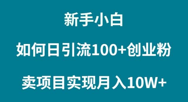 (9556期)新手小白如何通过卖项目实现月入10W+-菜菜网创
