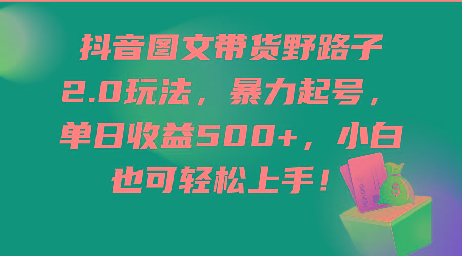 (9790期)抖音图文带货野路子2.0玩法，暴力起号，单日收益500+，小白也可轻松上手！-菜菜网创