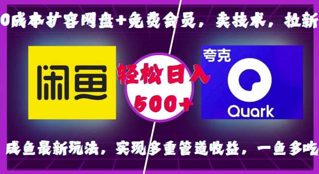 0成本扩容网盘+免费会员，卖技术，拉新，咸鱼最新玩法，实现多重管道收益，一鱼多吃，轻松日入500+-菜菜网创
