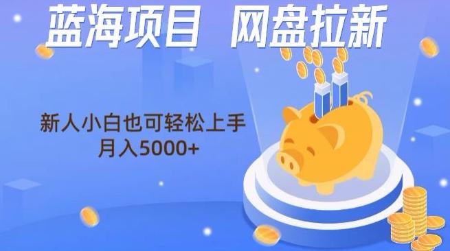 蓝海项目网盘拉新，新人小白也可操作，每月收入5000+-菜菜网创