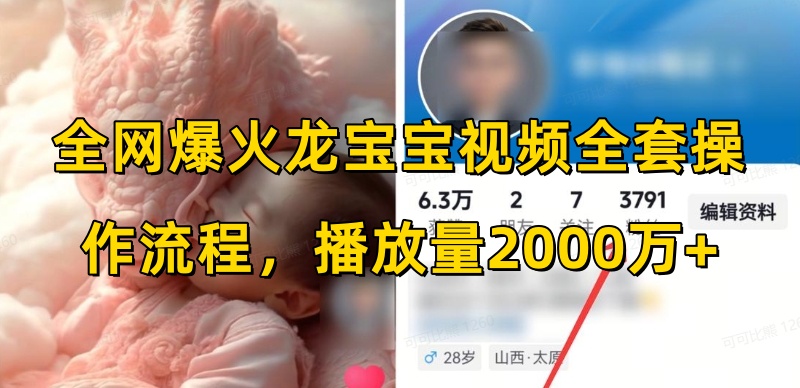 全网爆火龙宝宝视频全套操作流程，播放量2000万+-菜菜网创