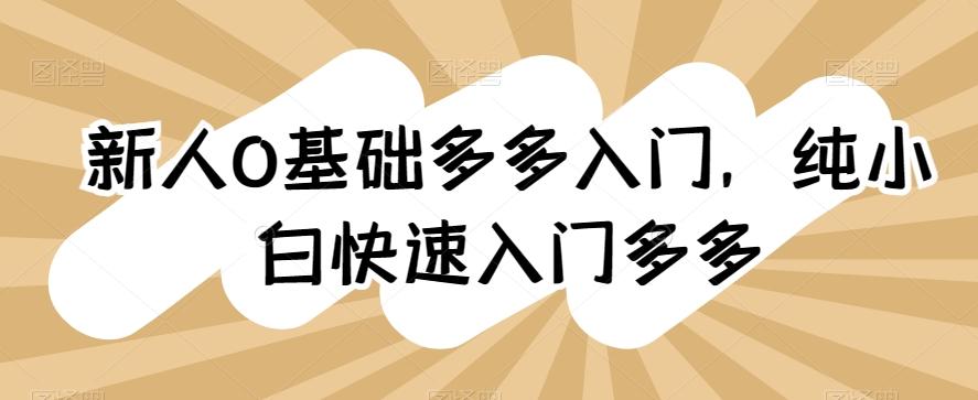 新人0基础多多入门，​纯小白快速入门多多-菜菜网创