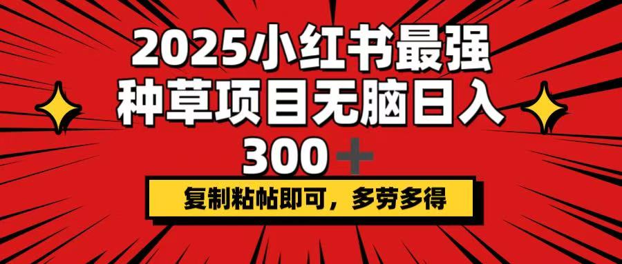 2025小红书最强种草项目，无脑日入300+，复制粘帖即可，多劳多得-菜菜网创