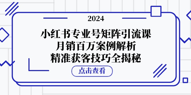 小红书专业号矩阵引流课，月销百万案例解析，精准获客技巧全揭秘-菜菜网创