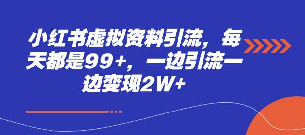 小红书虚拟资料引流，每天都是99+，一边引流一边变现2W+-菜菜网创