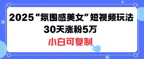 不露脸也能火！2025“氛围感美女”短视频玩法，30天涨粉5W小白可复制-菜菜网创